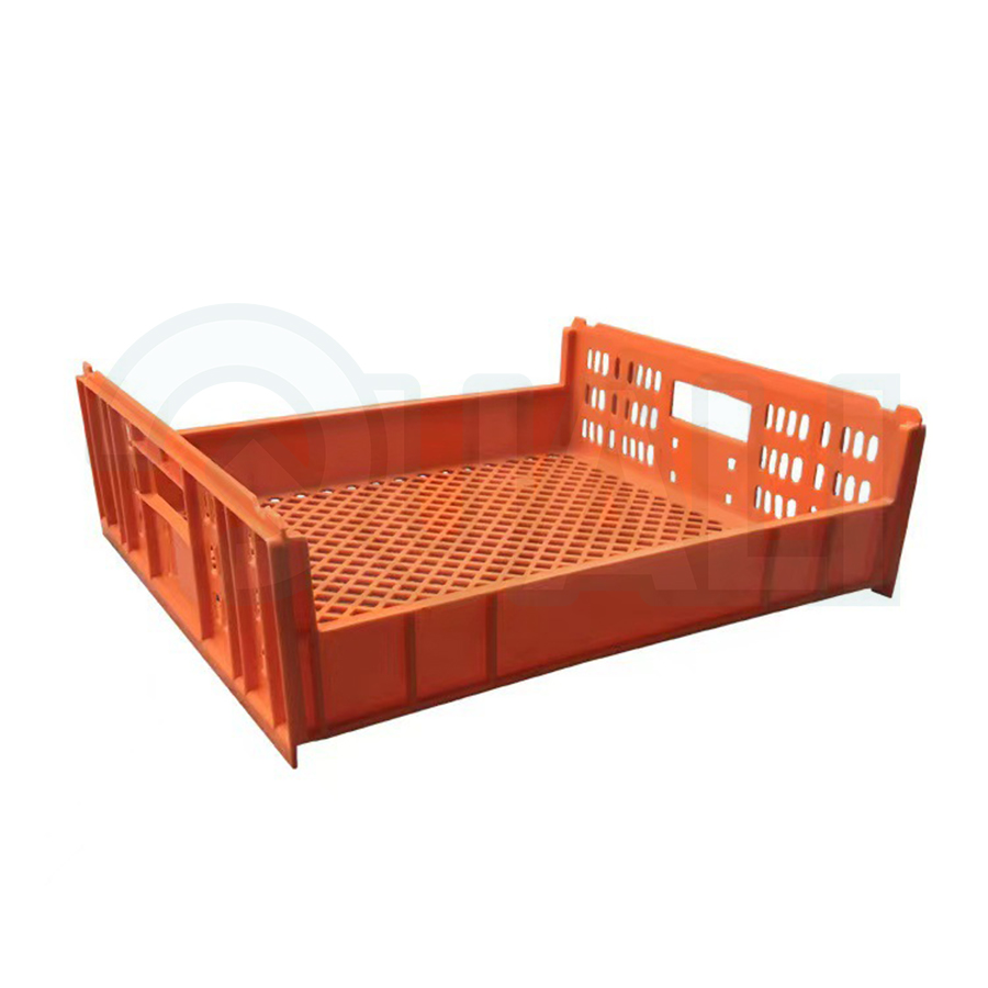 Plastic tray